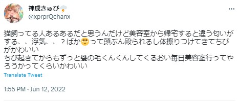 神成きゅぴ　猫